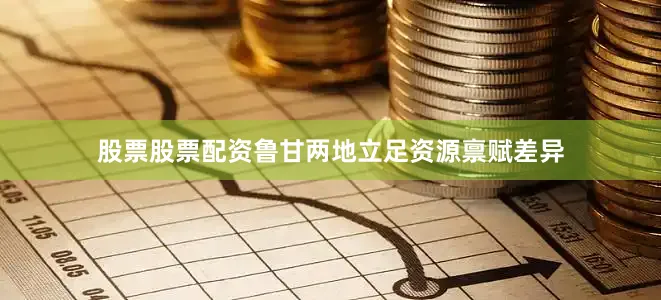 股票股票配资鲁甘两地立足资源禀赋差异